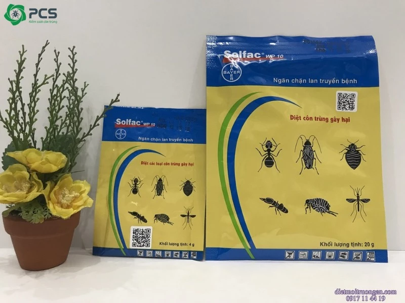 Cách diệt mối tại nhà 